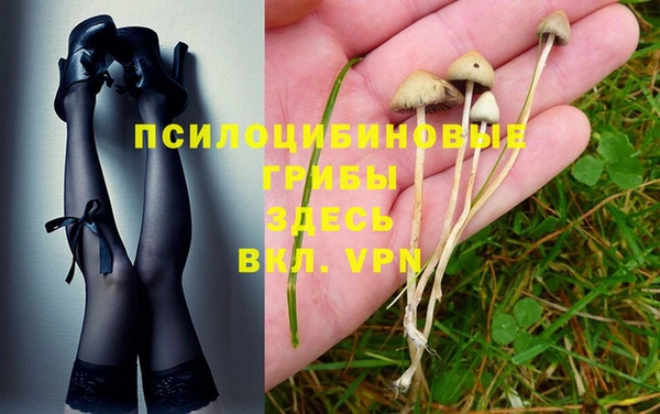 ALPHA PVP Алексин