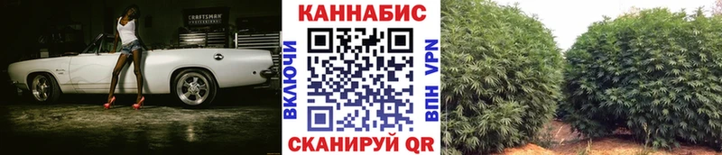 цены   Оленегорск  Канабис OG Kush 